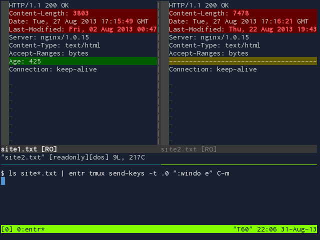 watch http headers